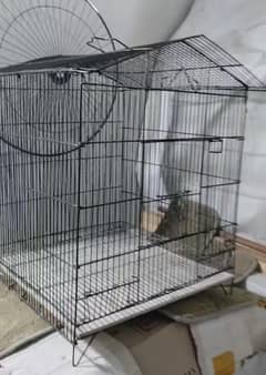 Single And Double portion cage for sale 03214382921