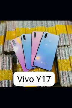 vivo