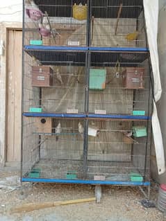 Birds Cage Setup For Sale