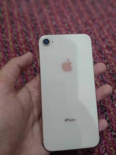 iPhone 8 officially pta approved