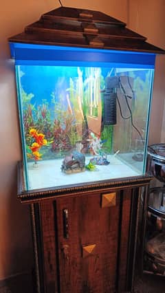 Fish Aquarium for sale, including 13 fishes, extra rocks, trees, etc