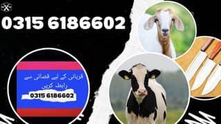 qasai