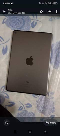 ipad mini 5