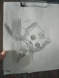 cat