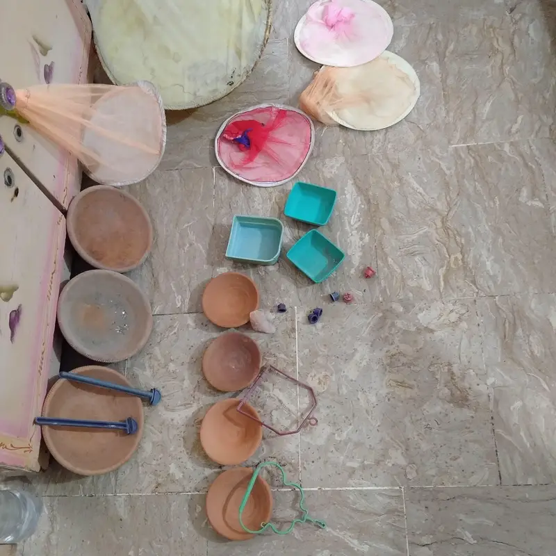 birds pots , sticks ,  net cage , nesting material finch budgies — photo 4