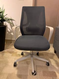Executive Chair