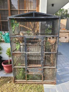 big cage for birds