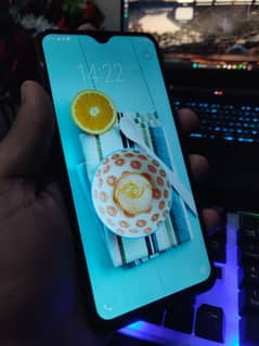 vivo