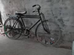 cycle