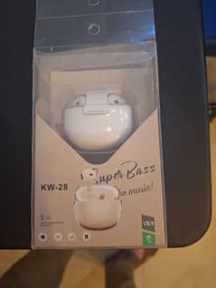 Earphones
