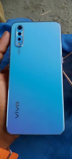 vivo