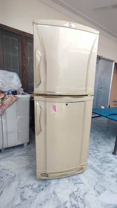 PEL Continental refrigerator