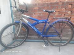 vsjak