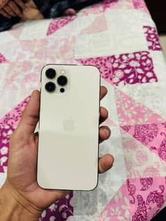 iPhone 12 Pro Max PTA Approved