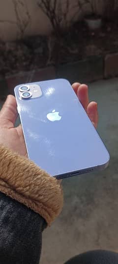 iphone12 in low price