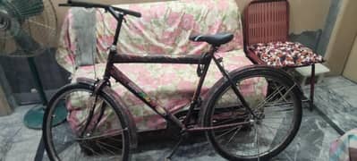 mnb cycle