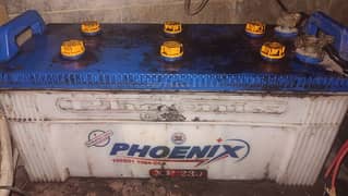 phoenix xp 230 27 plates per cell battery