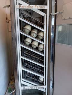 Ostrich eggs incubator and Hatchries