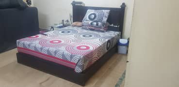Floor Wooden Bed  (+ Plus) Classique Executive Matress / Molty Foam