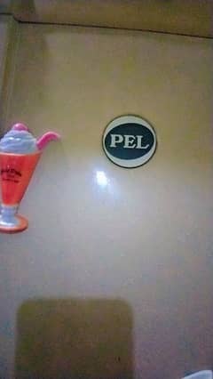 PEL fridge