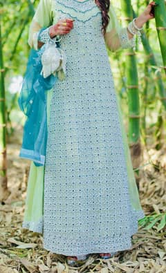 Walima maxi