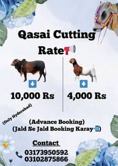 Qasai Booking Available