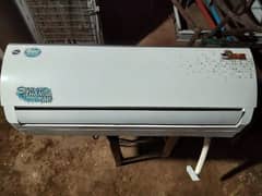 Pel indoor for sale