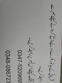 qurbani