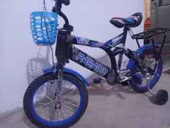 new cycle