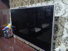 orient LED