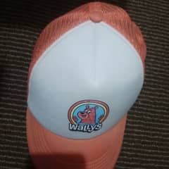 company wallys