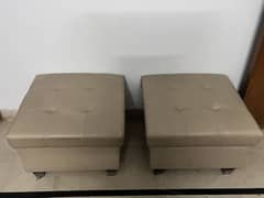 Pair of puffies