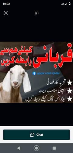 professional qasai available for 1st 2nd and 3rd eid