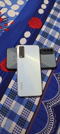 vivo