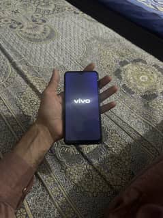 VIVI