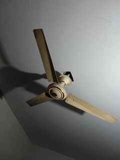 3 fans for sale