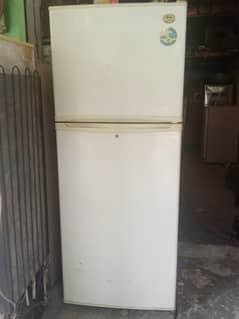 LG