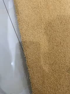 Best Quality Carpets