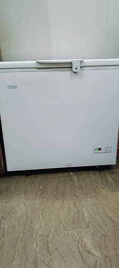Haier Deep Freezer Single Door
