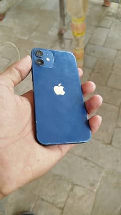 iphone 12 mini