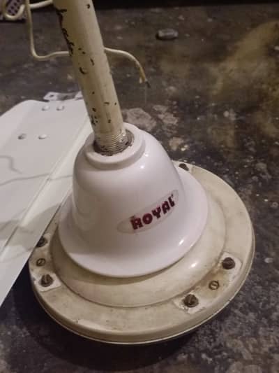 Royal ceiling fan 03700/127/0/27