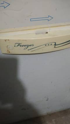 freezer