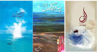 Pack of 3 Novels Peer e kamil,Ab e hayat And Alig