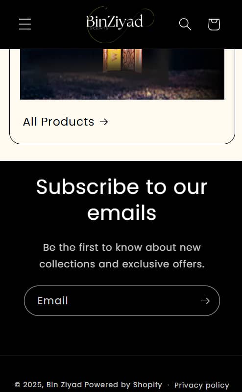 I will make pro shopify store + Ad posts + Insta & Fb account in 9,500 3