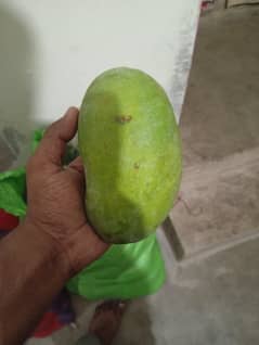daseri salori sindhri