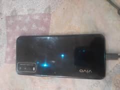 vivo