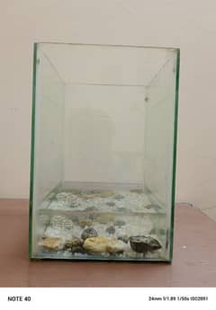 Aquarium