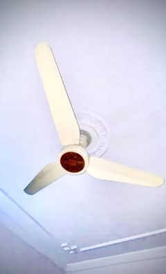 Ceiling pak fan