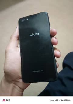 vivo