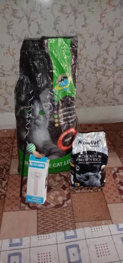 cat assesories